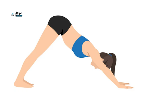 Adho Mukha Svanasana- Downward Facing Dog - Yoga Gears